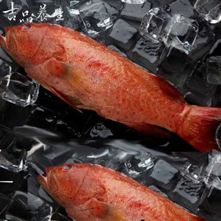 【吉品養生】安心水產_土魠切片_大(275g) 歷史價格詳細信息