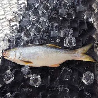 【吉品養生】安心水產_土魠切片_大(275g) 歷史價格詳細信息