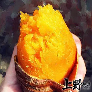 【上野物產】日本家常便當菜 卡滋蝦仁炸排（160g±10%/2片/包）x21包 歷史價格詳細信息