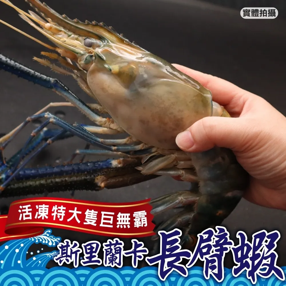 【海肉管家】斯里蘭卡長臂蝦VS鮮凍大草蝦30隻 歷史價格詳細信息