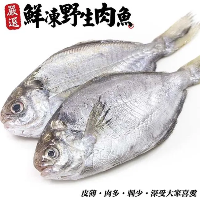 【海肉管家】野生鮮凍格陵蘭無洞扁鱈(9片/每片約300g±10%含冰重) 歷史價格詳細信息