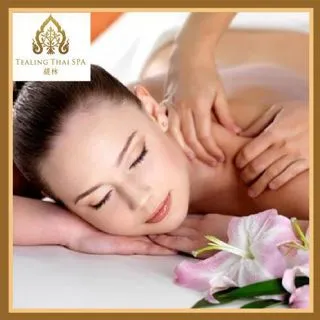 【TEALING 緹林 Thai SPA】傳統泰式高床按摩120分鐘(手技120分鐘)MO[高雄][Mohist電子票券 歷史價格詳細信息