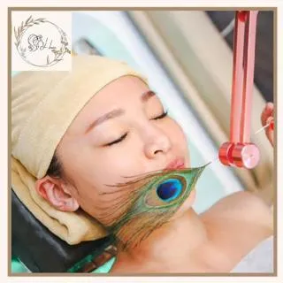 全新 120分鐘/180分鐘 家電專用定時器 歷史價格詳細信息