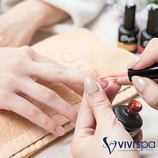 【全台多點】VIVISPA夏威夷懶人包輕纖之旅150分鐘 歷史價格詳細信息