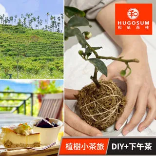 菓樹仙仙-古早味酸甘甜-陳年無籽橄欖/溫泉蕃茄乾/橙果乾/古早味辣芒果條 任選3包 歷史價格詳細信息