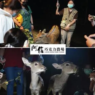 墾丁【阿信巧克力農場】–入園門票活動券(MO) 歷史價格詳細信息