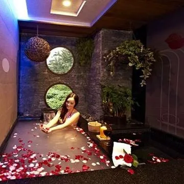 金都  鄧麗欣 / 朱栢康 / 鮑起靜 粵語中文字幕 DVD 歷史價格詳細信息