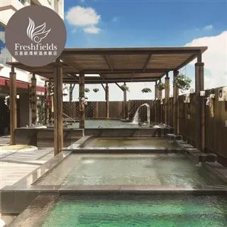 【台中清新溫泉飯店】平日單人露天溫泉泡湯(MO) 歷史價格詳細信息