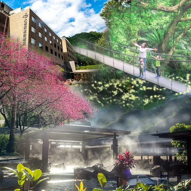 大板根森林酒店-一泊一食平日板根二人房住宿券 歷史價格詳細信息