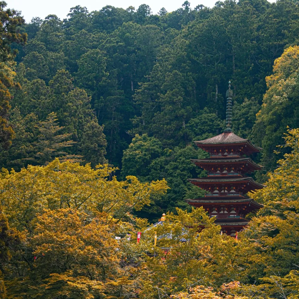 【皇家遊歷】半島海悅度假會館-寵物同遊雙人房一泊一食 歷史價格詳細信息