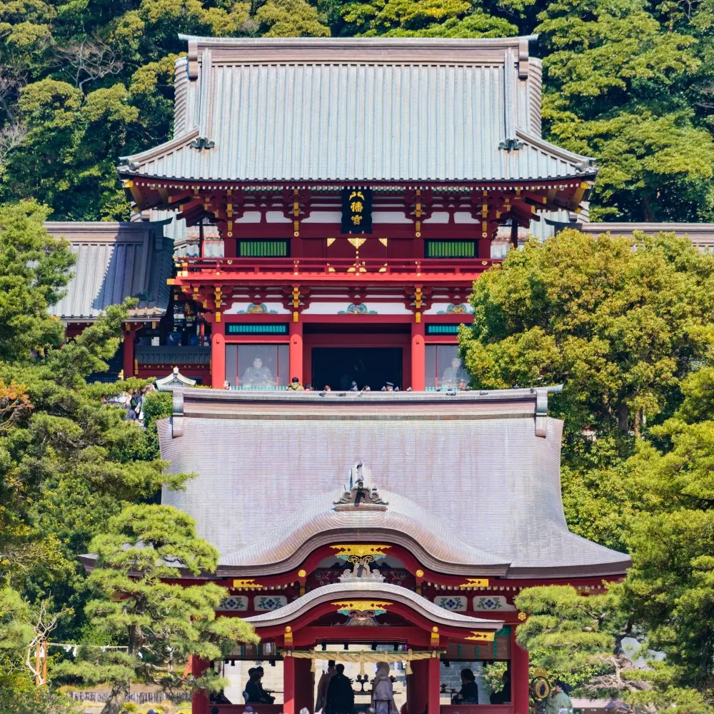 皇家暖感優質3KG天然100%羊毛被 歷史價格詳細信息