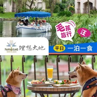 理想大飯店 合成大亨 ????Mini遊戲區????各種道具 歷史價格詳細信息