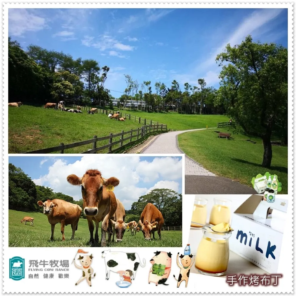 2張組↘【苗栗】飛牛牧場-單人入園全票+彩繪肥牛DIY 歷史價格詳細信息