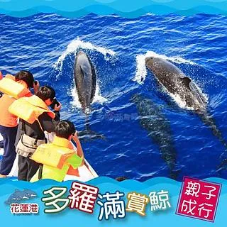 【花蓮】多羅滿汽車旅館-4人世界親子房住宿券 歷史價格詳細信息