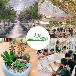 【休閒娛樂】宜蘭【外澳小山丘馬場】山海騎乘體驗(MO) 歷史價格詳細信息