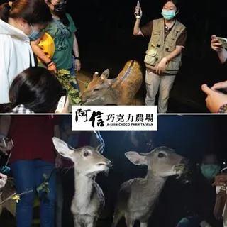 墾丁【阿信巧克力農場】–入園門票活動券(MO) 歷史價格詳細信息