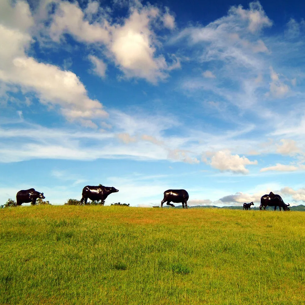 【花蓮新城佳興冰果室】招牌檸檬汁/黃金檸檬汁12瓶任選(600ml/瓶) 歷史價格詳細信息