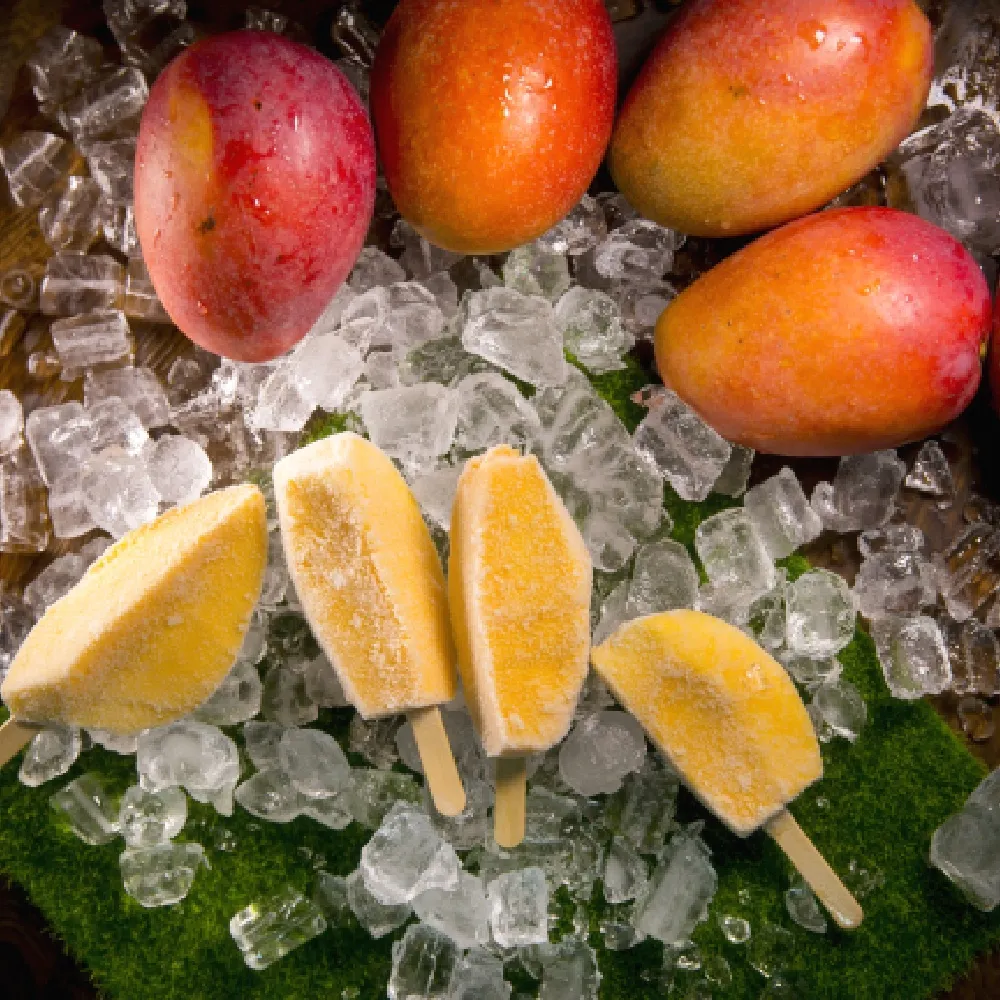 盧家芒果 愛文芒果乾(100g)x2 歷史價格詳細信息