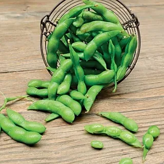 永豐餘生技Green&Safe-安心豬血糕 歷史價格詳細信息