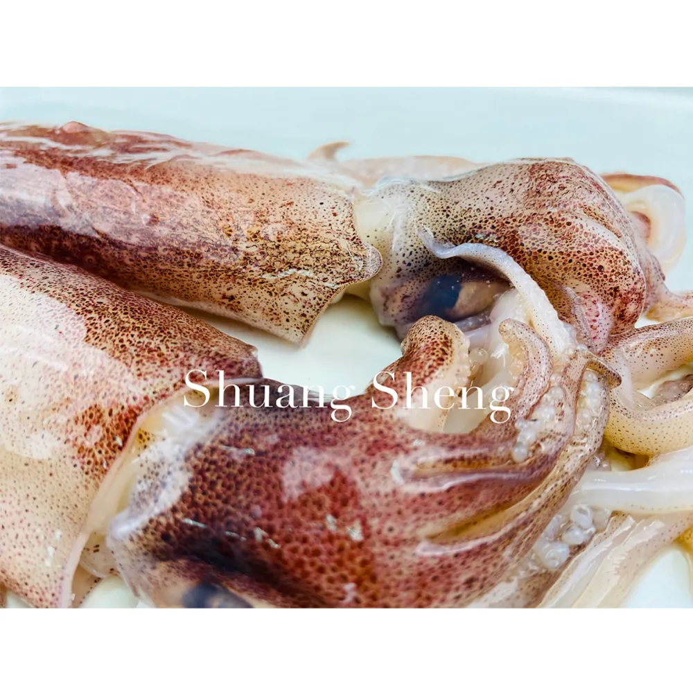 双盛-麻婆豆腐爆漿魚丸300g 歷史價格詳細信息