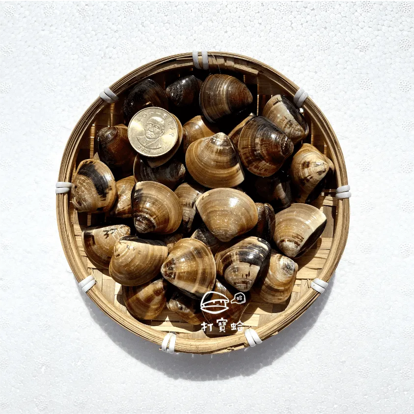 【打寶蛤】外銷日本極品大和黑蜆精10包(20ml/包_散裝) 歷史價格詳細信息