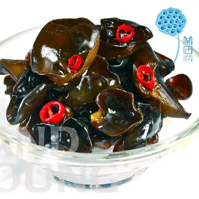 香川 KAGAWA 100%全透明 超彈性 絲襪褲襪 台灣製 涼爽透氣 香川絲襪 6入 歷史價格詳細信息