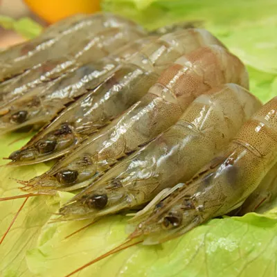 【台灣好漁】生食級台灣鯛魚片 275g 歷史價格詳細信息