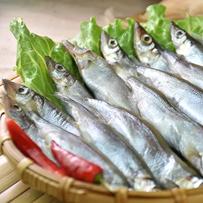 北洋船隊 Fleet 中文版 桌遊 桌上遊戲【卡牌屋】 歷史價格詳細信息