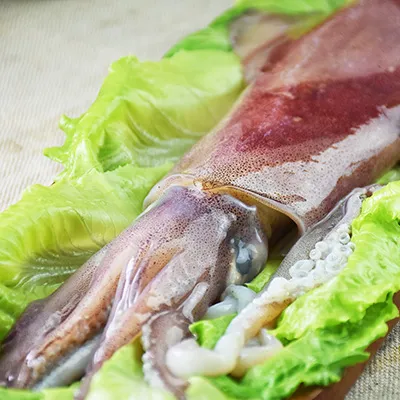 北洋船隊 Fleet 中文版 桌遊 桌上遊戲【卡牌屋】 歷史價格詳細信息