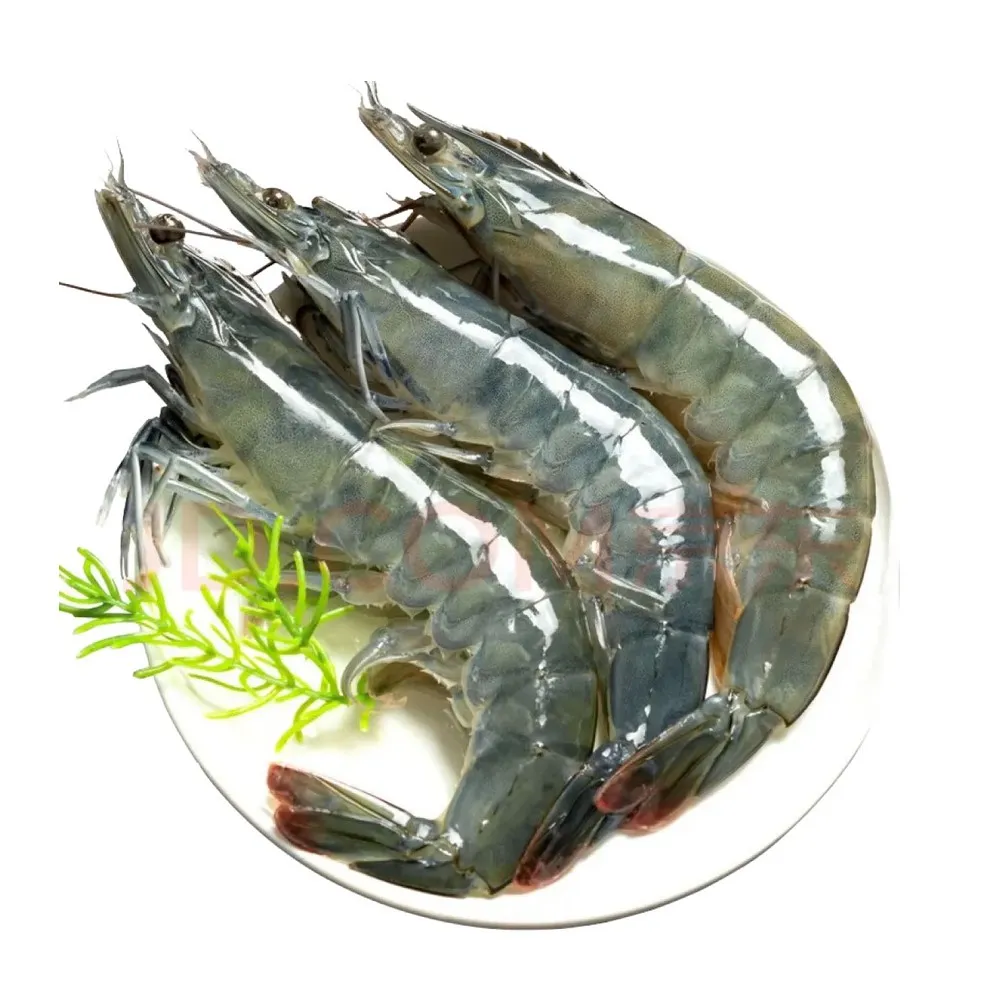 每片40~剩左下那一片 歷史價格詳細信息