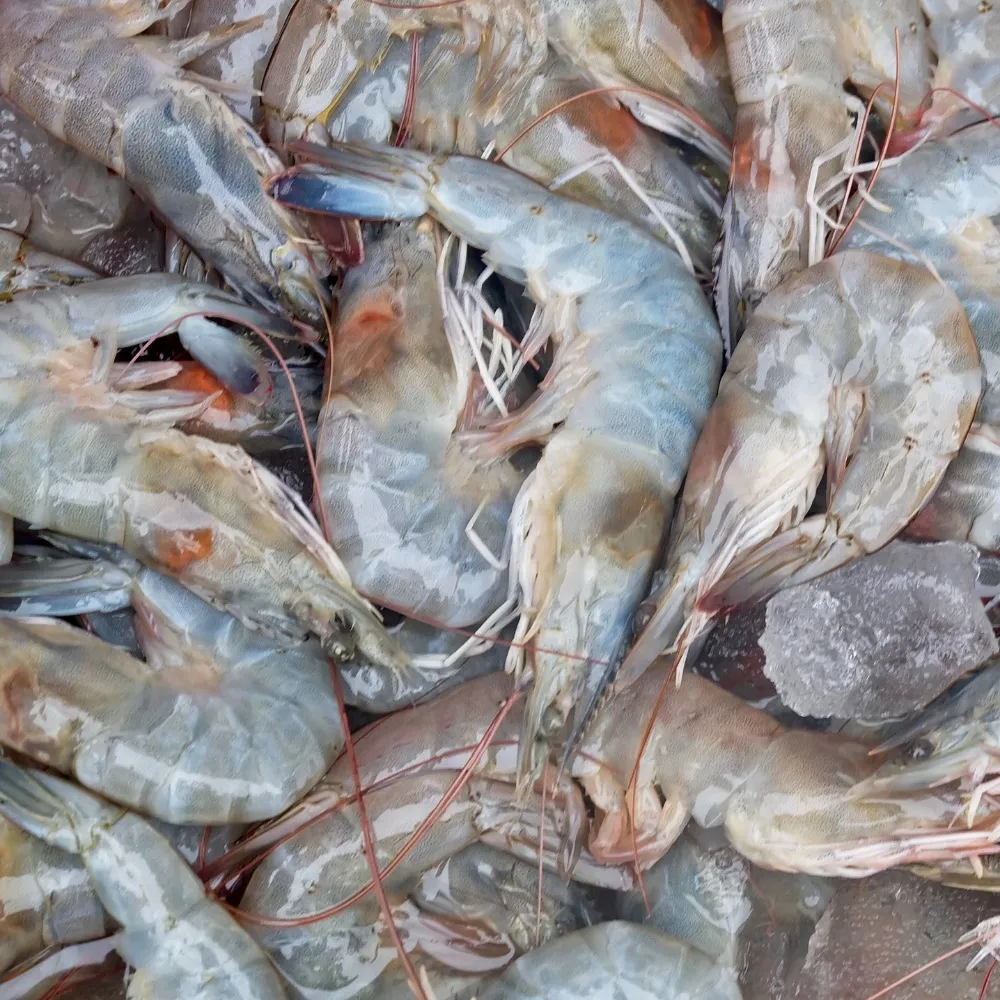 極品藍針水晶雙尖吊墜 超大尺寸 純銀配件 真不愧是天使的翅膀 歷史價格詳細信息