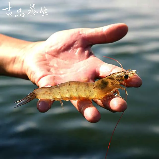 吉品養生無二芝麻糕 誠品eslite 歷史價格詳細信息