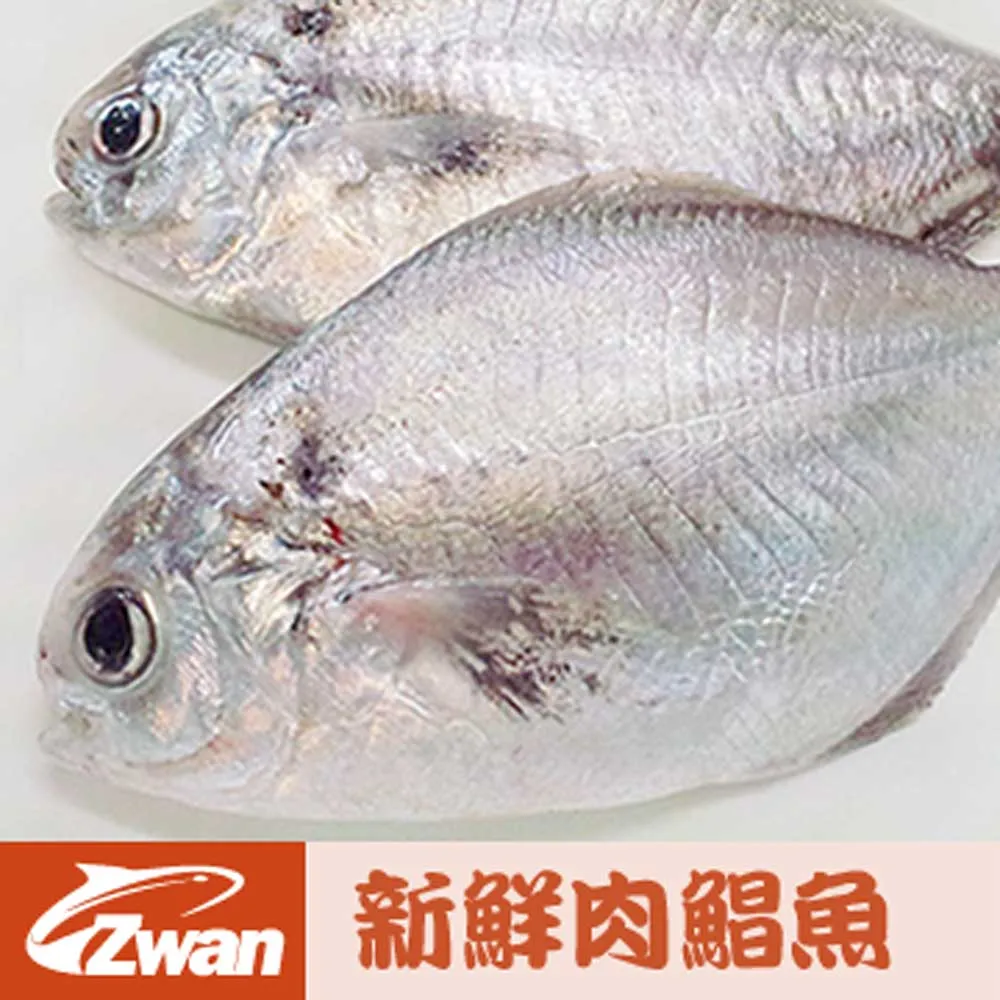 【日丸水產】特選新鮮肉鯧魚30尾(100g±10%/尾) 歷史價格詳細信息