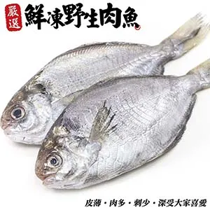 【海肉管家】野生鮮凍格陵蘭無洞扁鱈(9片/每片約300g±10%含冰重) 歷史價格詳細信息