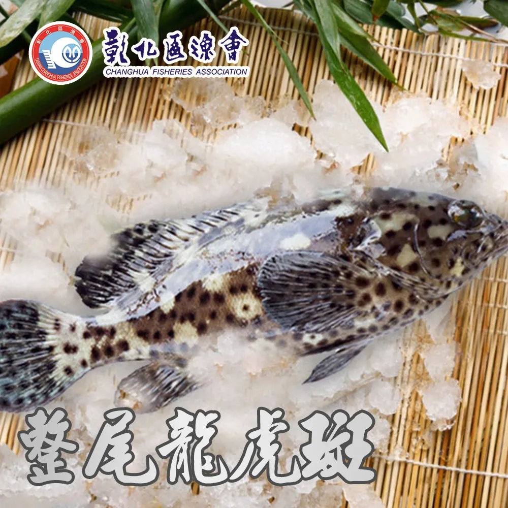 【彰化漁會】檸檬燒烤雞翅-二節翅-500g-包 (2包組) 歷史價格詳細信息