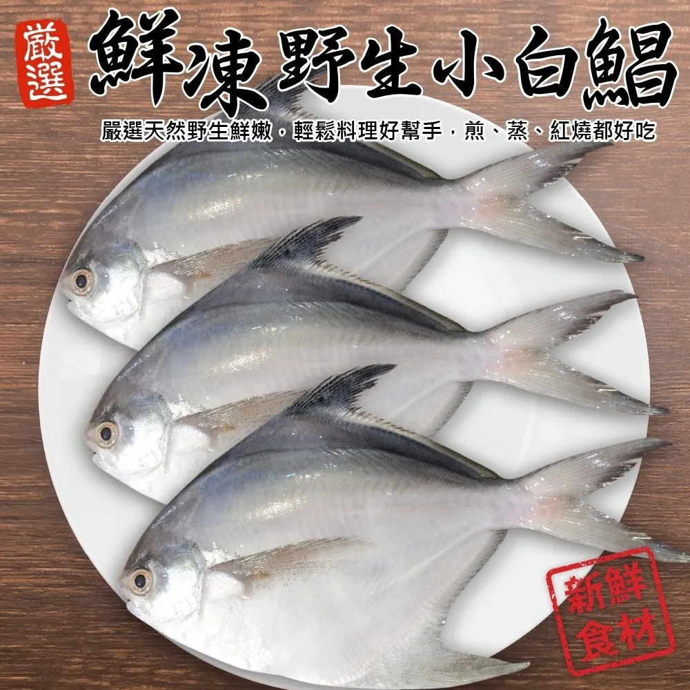 【漁村鮮海】美味四品任選超值組 20片組 (鮭魚+大比目魚+土魠魚+白帶魚) 歷史價格詳細信息
