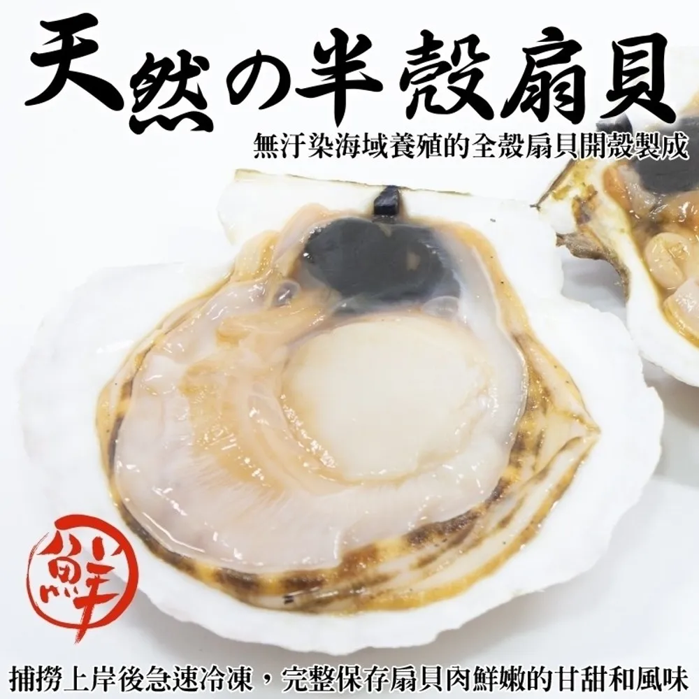 6包9號28X20cm夾鏈袋100入/包(收藏袋 保鮮袋 零錢袋 密封袋) 歷史價格詳細信息