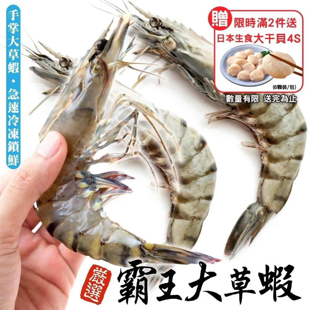 【海肉管家】霸王級挪威巨大薄鹽鯖魚(10片_180g/片_純重無紙板) 歷史價格詳細信息