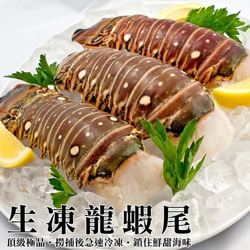 【巴巴】海龍‧改改/海龍改改: 消失的猿田彥之眼 歷史價格詳細信息