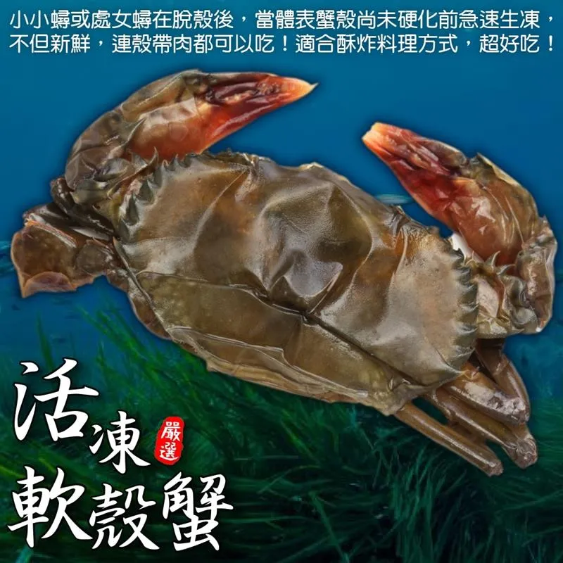 【海肉管家】嚴選宜蘭XL薄鹽鯖魚(原裝箱35-40片/6kg) 歷史價格詳細信息