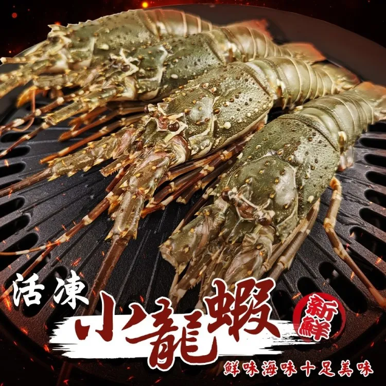 【海肉管家】活凍特大波士頓龍蝦(1隻_500~600g/隻) 歷史價格詳細信息