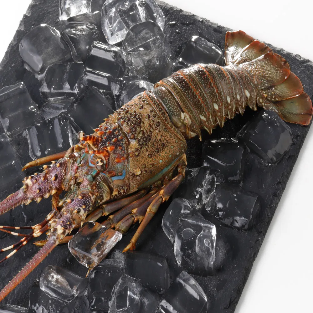 【華得水產】野生頂級龍蝦身4件組(120g/包) 歷史價格詳細信息