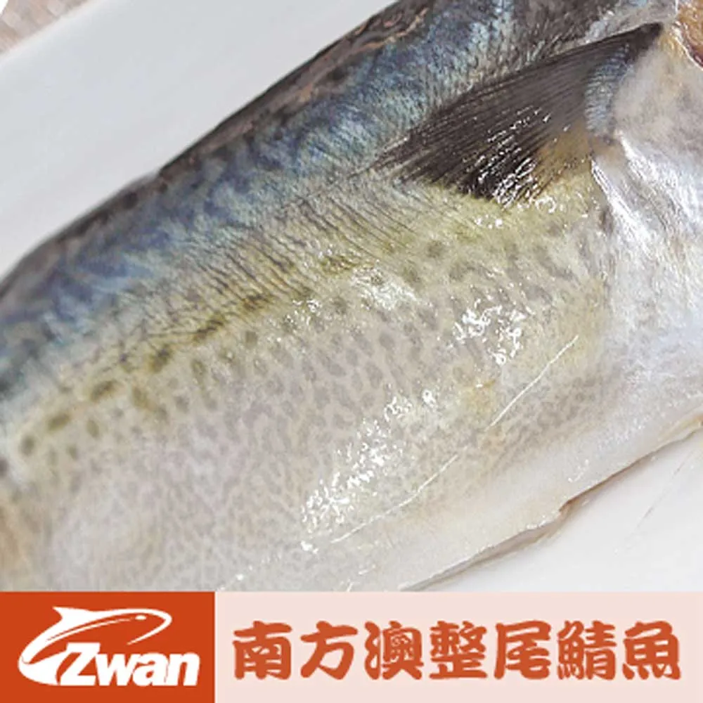 【日丸水產】南方澳巨大整尾鯖魚12尾(每尾450g±10%) 歷史價格詳細信息