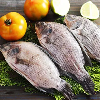 【上野物產】嚴選台灣鯛魚 (250g土10%/隻) x8隻 歷史價格詳細信息