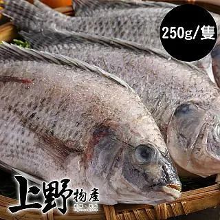 【上野物產】嚴選台灣鯛魚 (250g土10%/隻) x8隻 歷史價格詳細信息