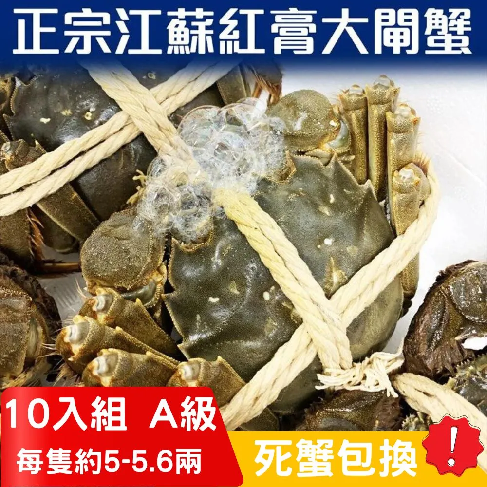 【RealShop 真食材本舖】正宗活體江蘇紅膏大閘蟹 2A級(5.7~6.2兩)/10隻入 歷史價格詳細信息