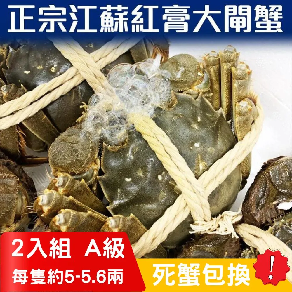 【RealShop 真食材本舖】正宗活體江蘇紅膏大閘蟹 2A級(5.7~6.2兩)/10隻入 歷史價格詳細信息