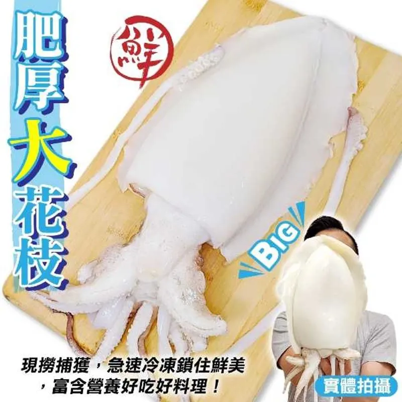 【海肉管家】鮮嫩巨無霸白帶魚(20片組_200g~250g/片) 歷史價格詳細信息
