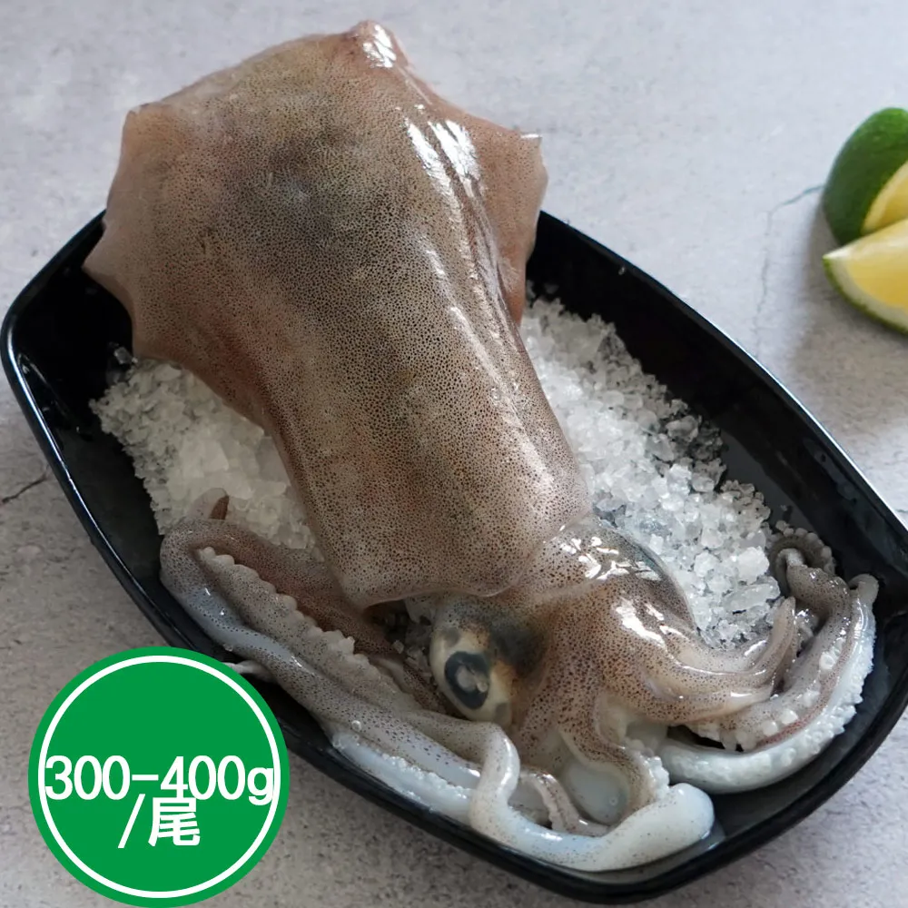 活凍軟絲(300-400g/尾) 歷史價格詳細信息