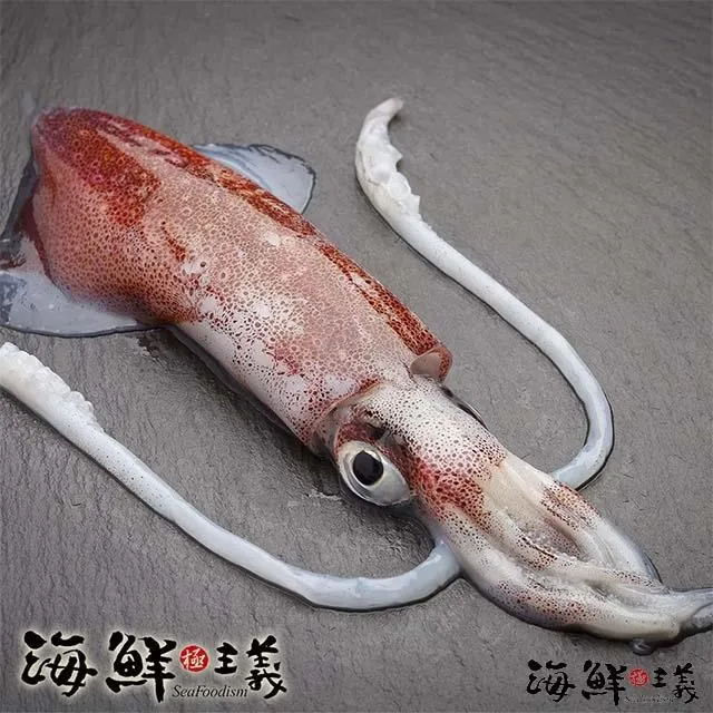 【海鮮主義】鮮甜熟北極甜蝦2盒組(1000g±10%/盒) 歷史價格詳細信息